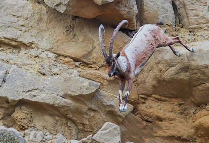 Khurkhera Wildlife Sanctuary in Lasbela